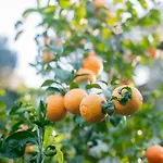 펜션 Kastro - Country Rhodes City