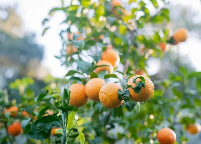 Σπίτι διακοπών Kastro - Country Rhodes City